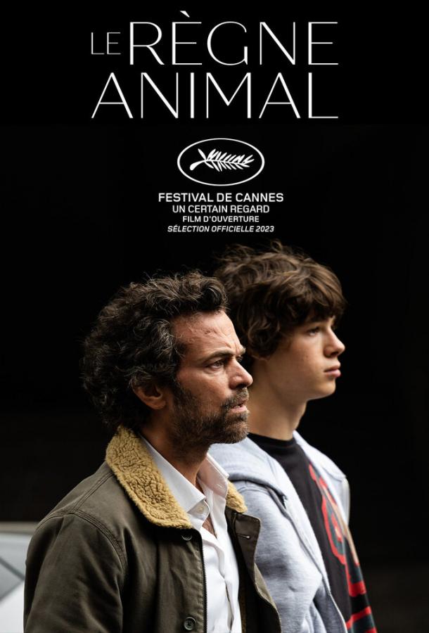 Смотреть Королевство зверей